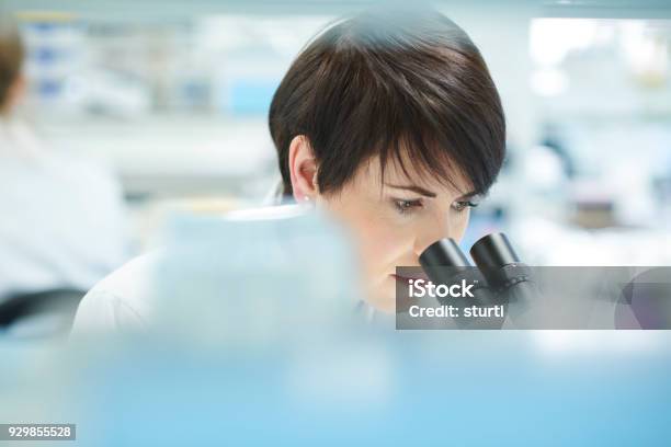 Wissenschaftlerin In Einem Belebten Forschungslabor Stockfoto und mehr Bilder von Labor