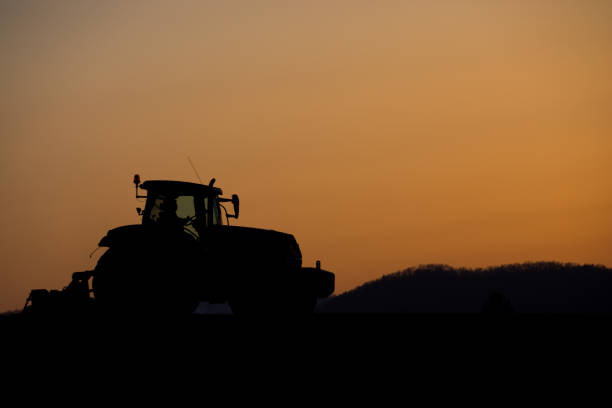 Farm work in dusk of spring