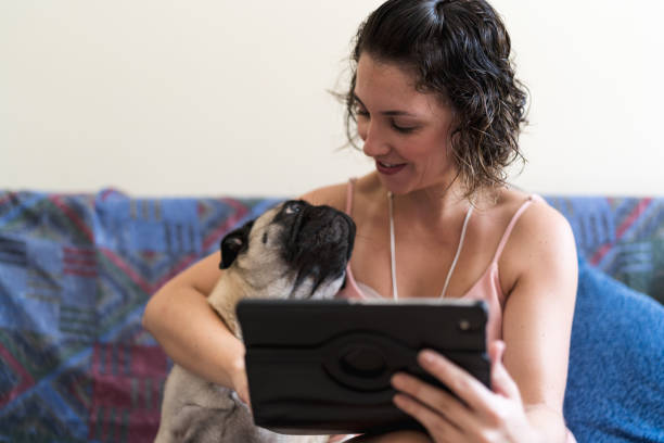 istock Young girl using her tablet with her dog 929858200