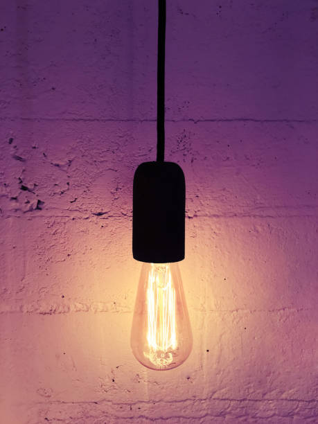 istock Industrial design light bulb on a black cord 929864872