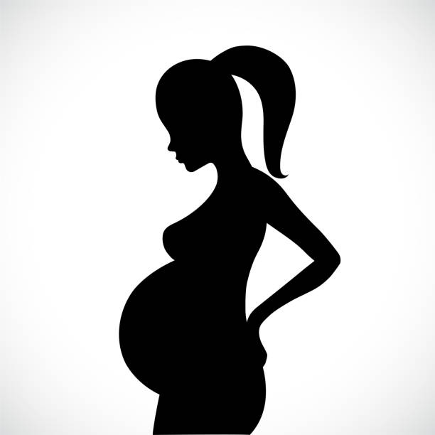 Beautiful pregnant woman silhouette vector art illustration