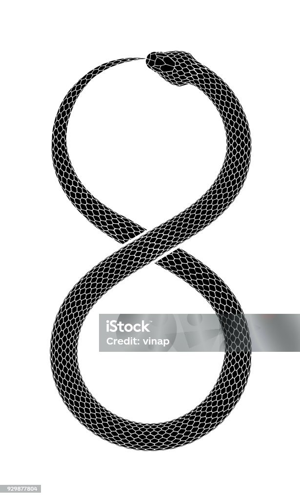 Vecteur de conception de tatouage de serpent eates c’est propre queue sous la forme d’un signe de l’infini. - clipart vectoriel de Serpent libre de droits