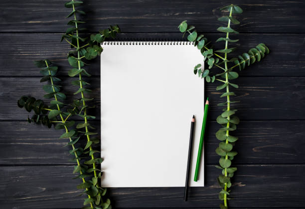 istock Sketchbook and pencils on black wooden table, decorated with green eucalyptus branches. Flat lay, top view 929877850