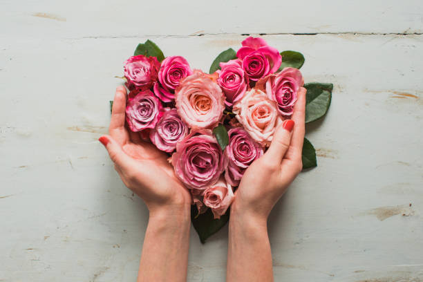 Fleurs Pour La Saint-Valentin