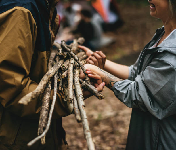 istock Friends camping in the forest together 929891590