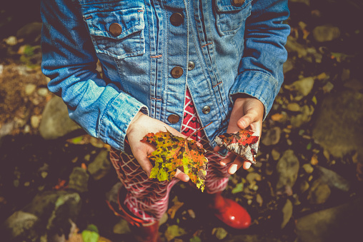 Child holds a speckled fall leaf in hands in a natural outdoor area wearing boots and a jean jacket