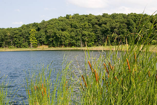 O lago - foto de acervo