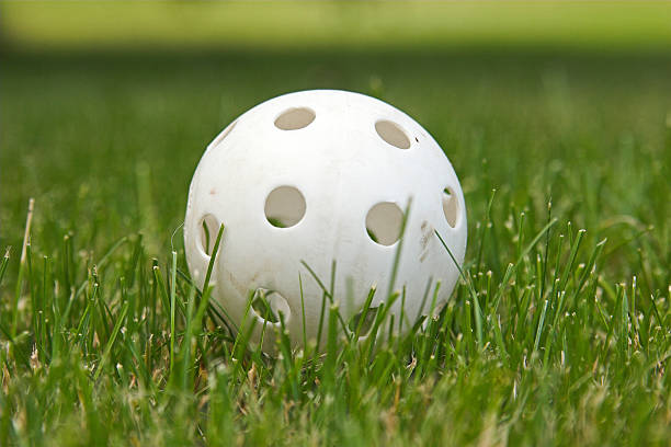 ウィッフルボールの芝生 ストックフォト