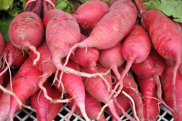 istock Red radish in market. 929904944