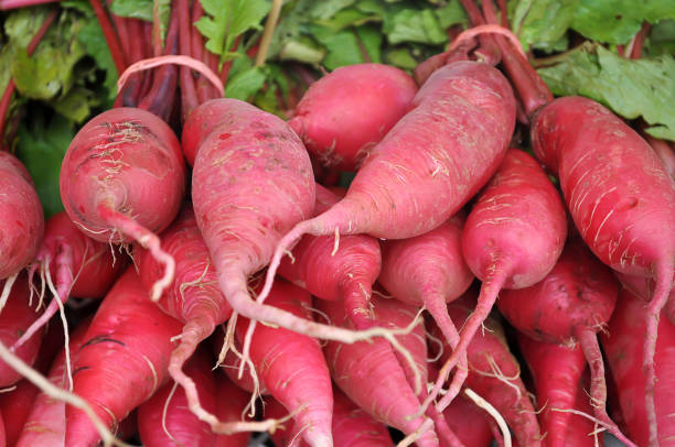istock Red radish in market. 929904984