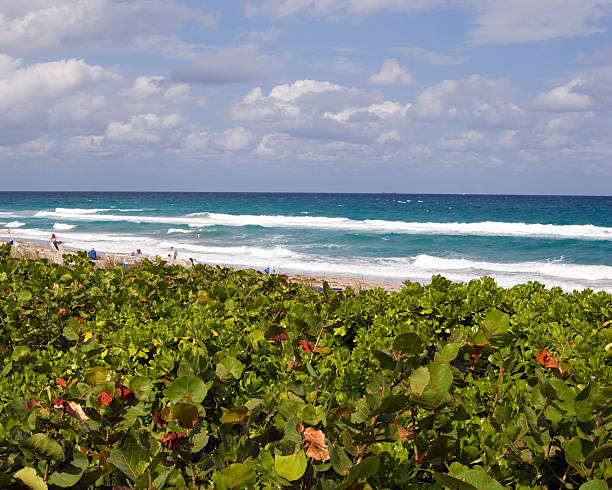 ビーチの風景、ボカラトン、フロリダ州 ストックフォト