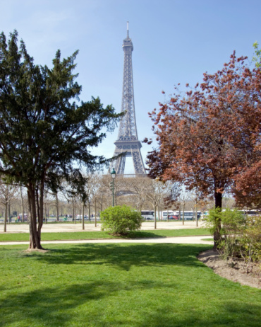 Color DSLR picture of Eiffel Tower in Paris, France, in the Springtime with a blue sky background; in vertical orientation with copy space for text