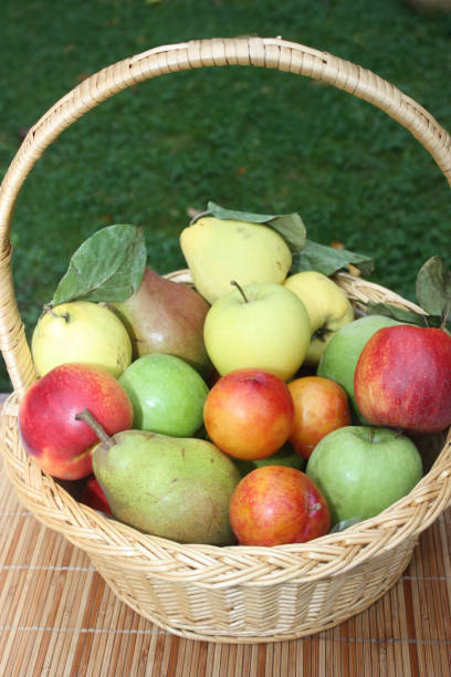 istock Basket of various fruits 929918074