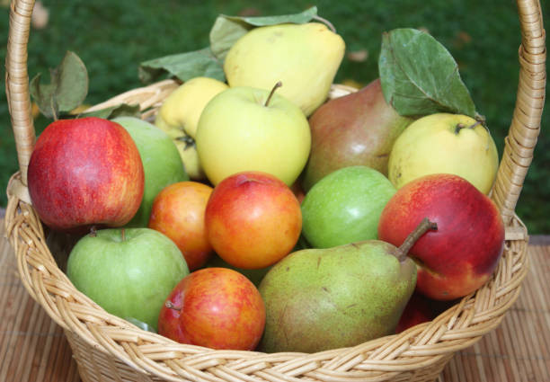 istock Basket of various fruits 929918086