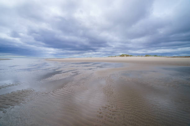 spiaggia sabbiosa del mare nel nord dell'isola di sakhalin, russia. intorno alla baia di piltun. - downbeat foto e immagini stock
