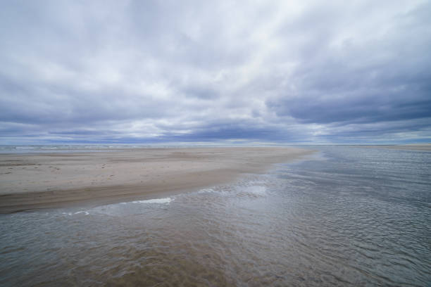 spiaggia sabbiosa del mare nel nord dell'isola di sakhalin, russia. intorno alla baia di piltun. - downbeat foto e immagini stock