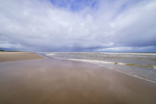 spiaggia sabbiosa del mare nel nord dell'isola di sakhalin, russia. intorno alla baia di piltun. - downbeat foto e immagini stock