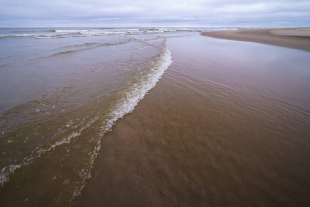 spiaggia sabbiosa del mare nel nord dell'isola di sakhalin, russia. intorno alla baia di piltun. - downbeat foto e immagini stock