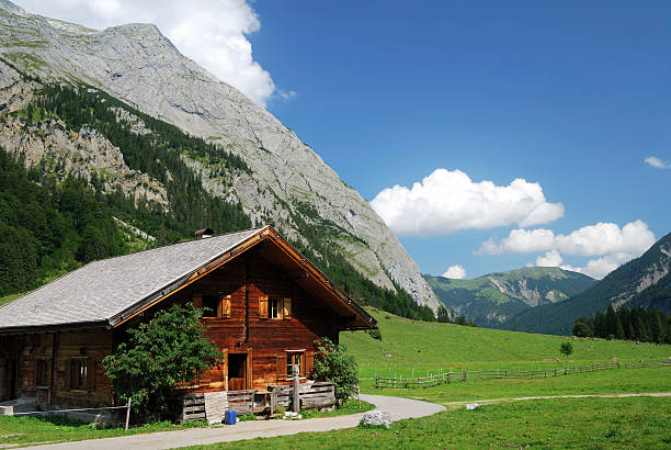 istock Tiroler Hut on a large pasture with mountain scape behind 92991922