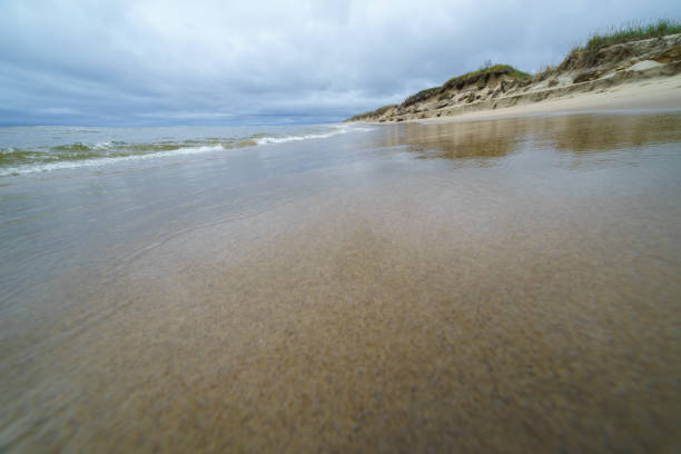 spiaggia sabbiosa del mare nel nord dell'isola di sakhalin, russia. intorno alla baia di piltun. - downbeat foto e immagini stock