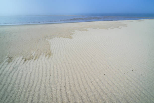 spiaggia sabbiosa del mare nel nord dell'isola di sakhalin, russia. intorno alla baia di piltun. - downbeat foto e immagini stock