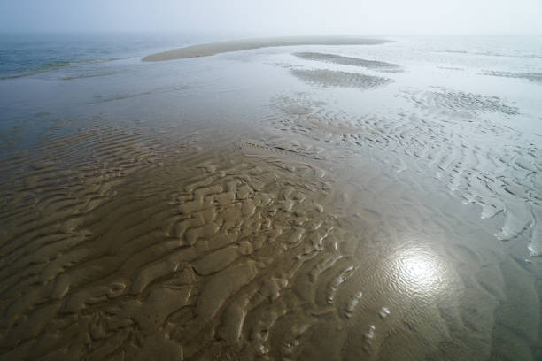 spiaggia sabbiosa del mare nel nord dell'isola di sakhalin, russia. intorno alla baia di piltun. - downbeat foto e immagini stock