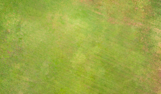 Natural grass texture, Aerial view of park stock photo