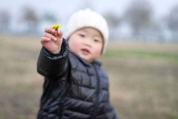 baby boy holding dandelion on field.