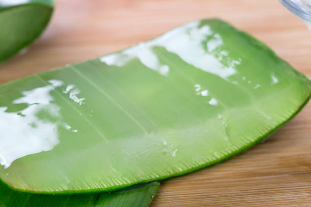 istock Aloe vera. Closeup, herbal. 929941816