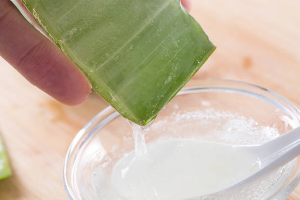 istock Fresh aloe vera leaves and aloe vera juice 929941834