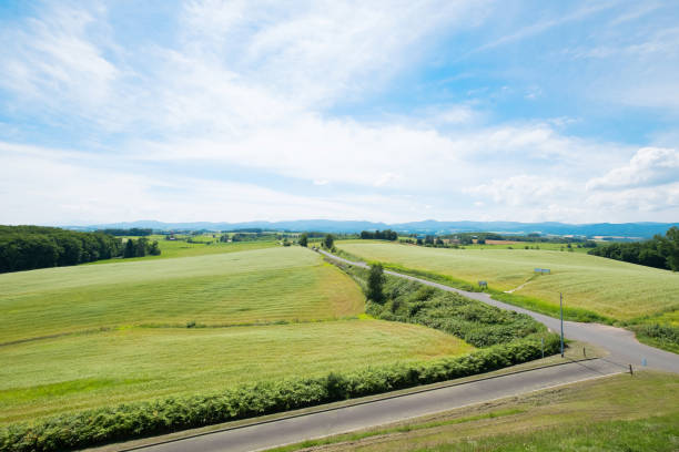 istock landscape of asahikawa town 929942214