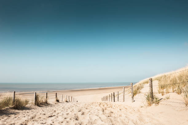 istock Sandy dunes on the coast of North sea 929948406
