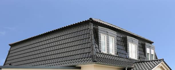 istock Panoramic picture of a new roof 929949176