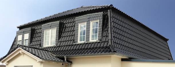 istock Panoramic picture of a new roof 929949200