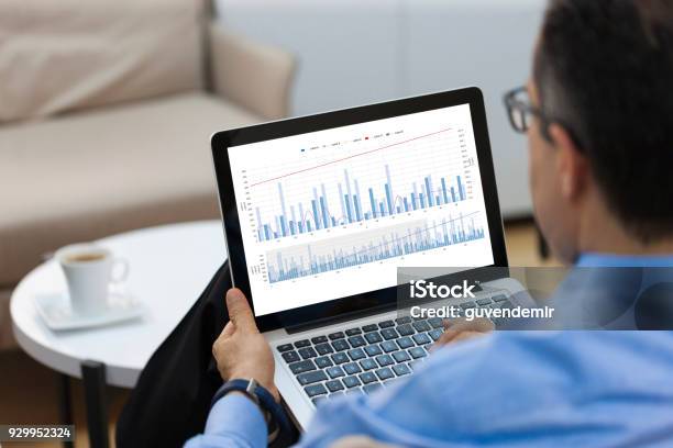 Businessman Looking Financial Charts On Laptop Stock Photo - Download Image Now - Computer Monitor, Laptop, Device Screen