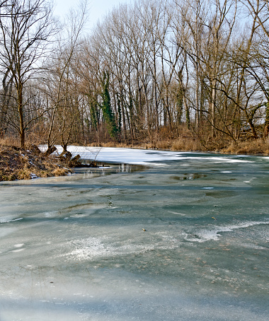 icy surface of a frozen water course in a riparian forest called \