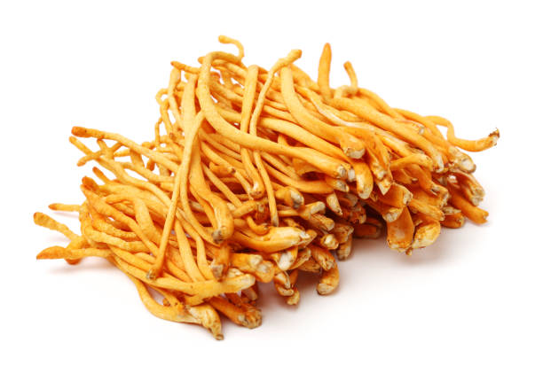 istock Cordyceps mushroom mushroom on white background 929959602