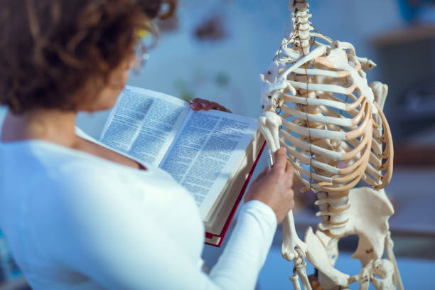 femme médecin enseigner l’anatomie à l’aide du modèle de squelette humain - anatomy classroom human skeleton student photos et images de collection