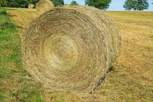 Large haybale lying at the edge of the field