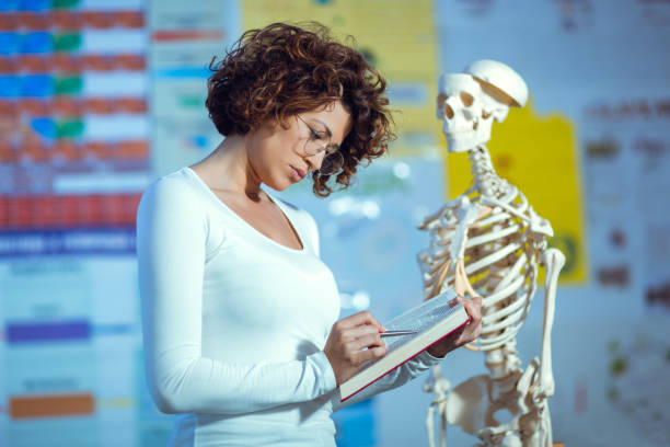 médico mujer enseñando anatomía utilizando el modelo de esqueleto humano - anatomy classroom human skeleton student fotografías e imágenes de stock