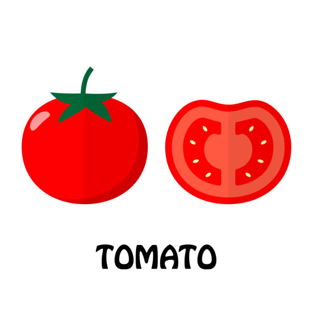 Vector Illustration Flat Tomato isolated on white background , Raw materials fresh vegetable Vector Illustration Flat Tomato isolated on white background , Raw materials fresh vegetable tomato slice stock illustrations