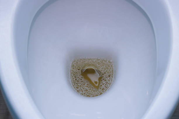 istock forget flush water toilet sanitized 929990424