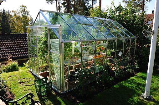 Close up  exterior view of private small garden with greenhouse for growing vegetables. Sweden.
