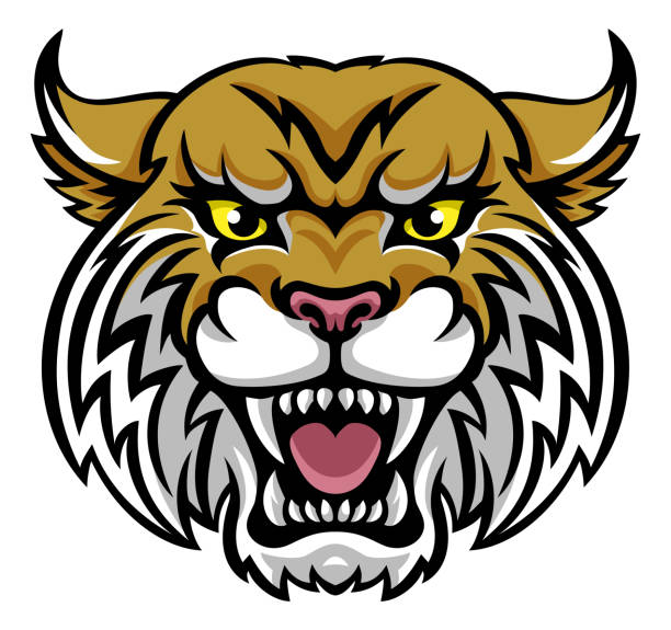 Wildcat Bobcat Mascot An angry looking wildcat or bobcat mascot animal character lion animal head mascot animal stock illustrations