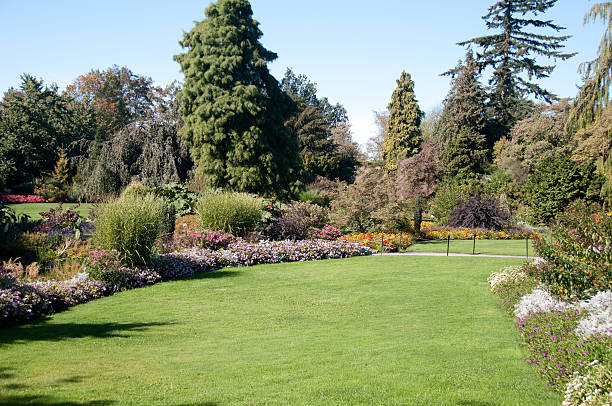 istock Open grassy area on Queen Elizabeth park 93000207