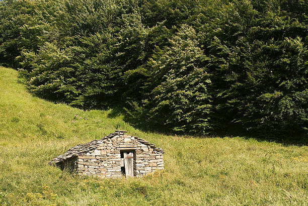Passo del Cirone (Appennino, Parma, Emilia, Italy) - Old stone hut in a meadow