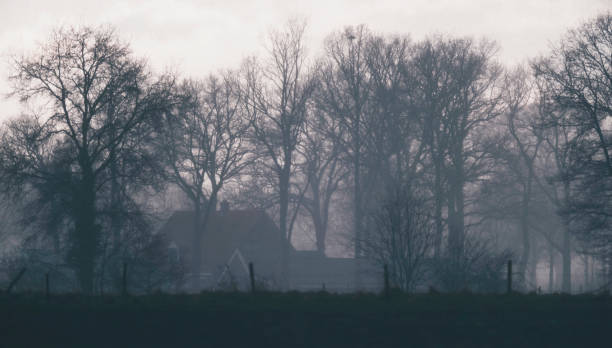 istock Silhouette of house surrounded by winter trees behind dike. 930012194