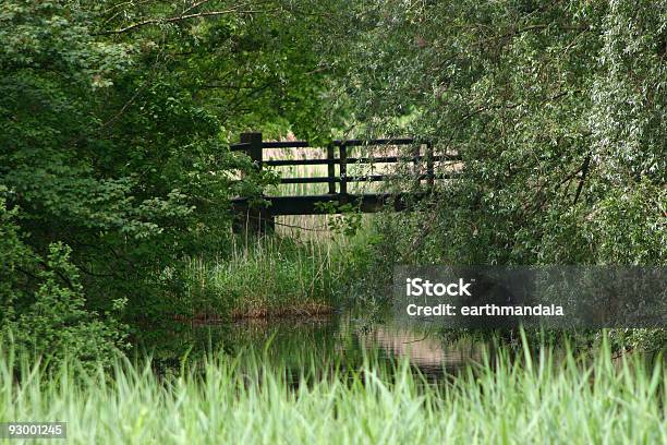Wooden Bridge Over Creek In Het Twiske Stock Photo - Download Image Now - Bridge - Built Structure, Color Image, Environmental Conservation