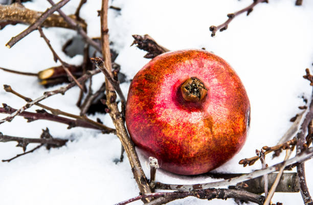 Juicy ripe pomegranate on white snow. stock photo