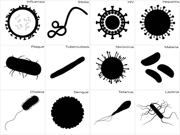 Icon set of different diseases Large and detailed icon set of different germs ebola stock illustrations